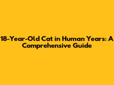 18-Year-Old Cat in Human Years: A Comprehensive Guide