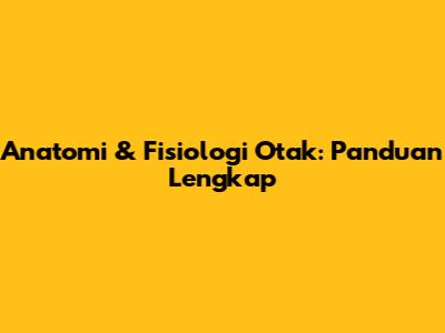 Anatomi & Fisiologi Otak: Panduan Lengkap