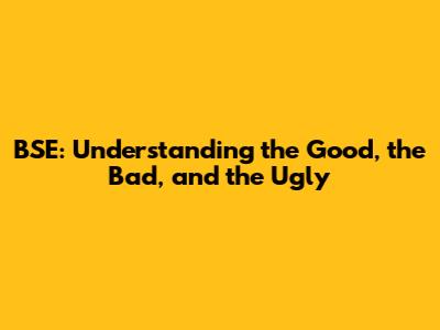 BSE: Understanding the Good, the Bad, and the Ugly