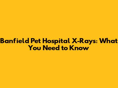 Banfield Pet Hospital X-Rays: What You Need to Know