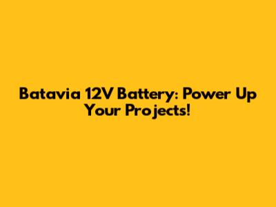 Batavia 12V Battery: Power Up Your Projects!