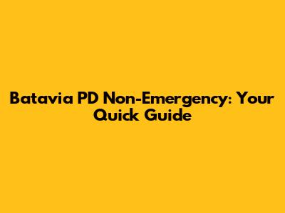 Batavia PD Non-Emergency: Your Quick Guide