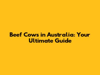 Beef Cows in Australia: Your Ultimate Guide