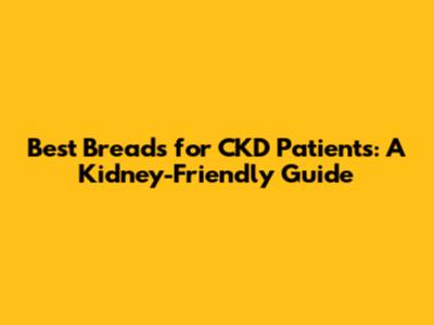 Best Breads for CKD Patients: A Kidney-Friendly Guide