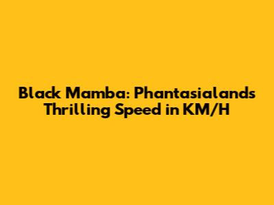 Black Mamba: Phantasialand's Thrilling Speed in KM/H