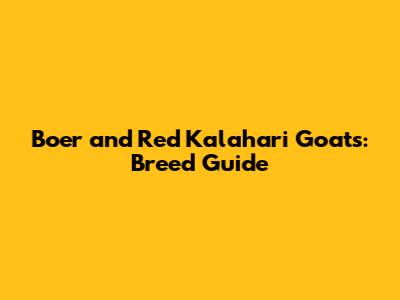 Boer and Red Kalahari Goats: Breed Guide