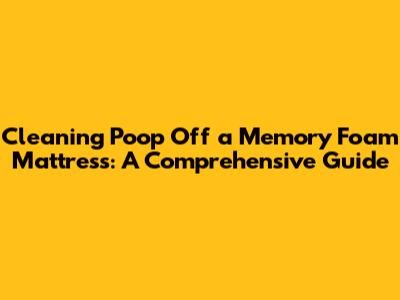 Cleaning Poop Off a Memory Foam Mattress: A Comprehensive Guide