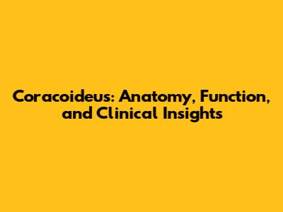 Coracoideus: Anatomy, Function, and Clinical Insights
