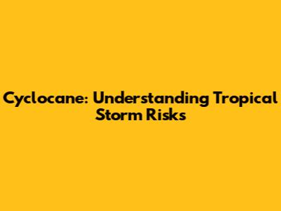 Cyclocane: Understanding Tropical Storm Risks