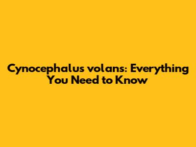Cynocephalus volans: Everything You Need to Know