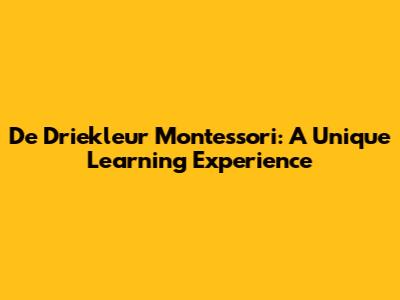 De Driekleur Montessori: A Unique Learning Experience