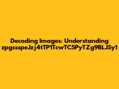 Decoding Images: Understanding zpgssspeJzj4tTP1TcwTC5PyTZg9BLJSy1