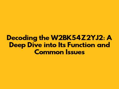 Decoding the W2BK54Z2YJ2: A Deep Dive into Its Function and Common Issues