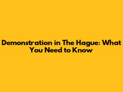 Demonstration in The Hague: What You Need to Know