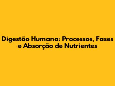 Digestão Humana: Processos, Fases e Absorção de Nutrientes
