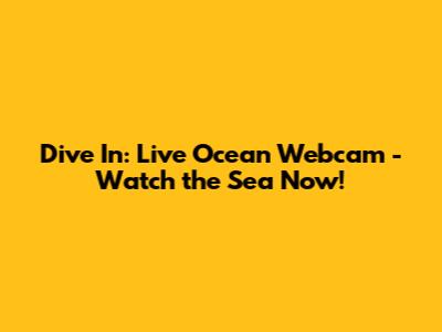 Dive In: Live Ocean Webcam - Watch the Sea Now!