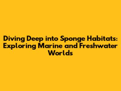 Diving Deep into Sponge Habitats: Exploring Marine and Freshwater Worlds