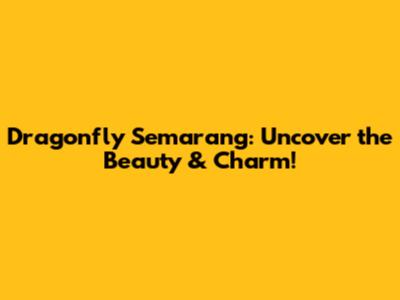 Dragonfly Semarang: Uncover the Beauty & Charm!