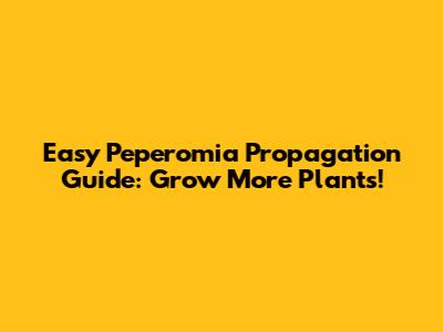 Easy Peperomia Propagation Guide: Grow More Plants!