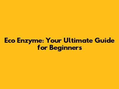 Eco Enzyme: Your Ultimate Guide for Beginners