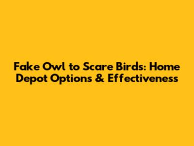 Fake Owl to Scare Birds: Home Depot Options & Effectiveness