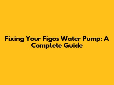 Fixing Your Figo's Water Pump: A Complete Guide