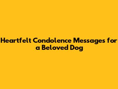 Heartfelt Condolence Messages for a Beloved Dog