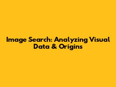 Image Search: Analyzing Visual Data & Origins