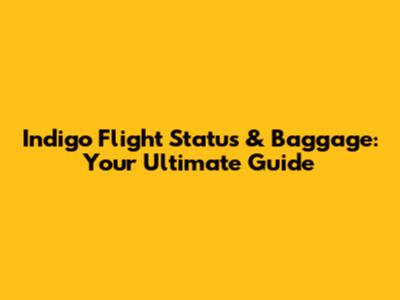 Indigo Flight Status & Baggage: Your Ultimate Guide