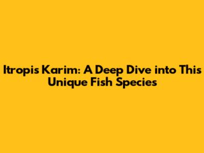 Itropis Karim: A Deep Dive into This Unique Fish Species