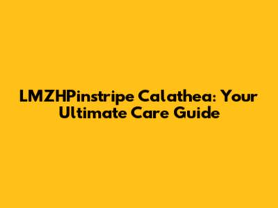 LMZHPinstripe Calathea: Your Ultimate Care Guide