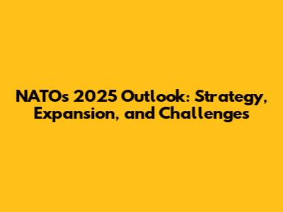 NATO's 2025 Outlook: Strategy, Expansion, and Challenges