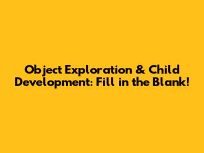 Object Exploration & Child Development: Fill in the Blank!