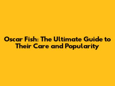 Oscar Fish: The Ultimate Guide to Their Care and Popularity