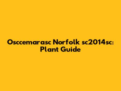 Osccemarasc Norfolk sc2014sc: Plant Guide