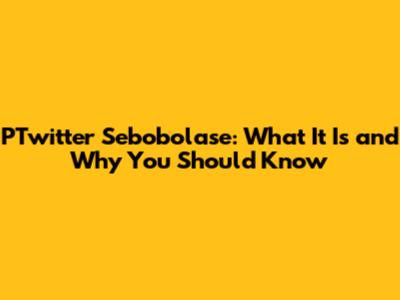 PTwitter Sebobolase: What It Is and Why You Should Know