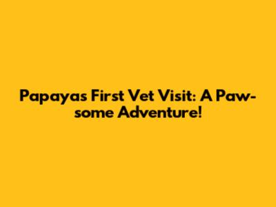 Papaya's First Vet Visit: A Paw-some Adventure!