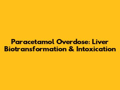 Paracetamol Overdose: Liver Biotransformation & Intoxication