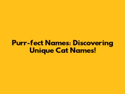 Purr-fect Names: Discovering Unique Cat Names!