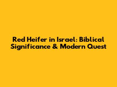 Red Heifer in Israel: Biblical Significance & Modern Quest