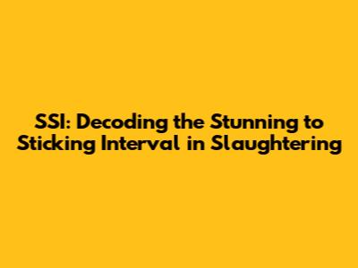 SSI: Decoding the Stunning to Sticking Interval in Slaughtering