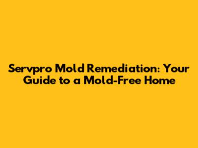 Servpro Mold Remediation: Your Guide to a Mold-Free Home