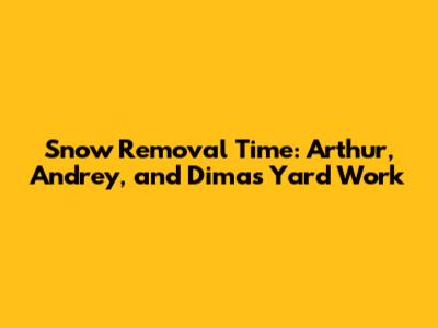 Snow Removal Time: Arthur, Andrey, and Dima's Yard Work