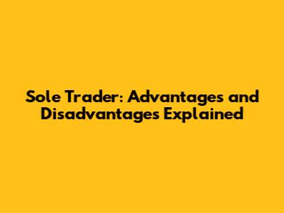 Sole Trader: Advantages and Disadvantages Explained