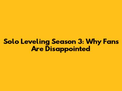 Solo Leveling Season 3: Why Fans Are Disappointed