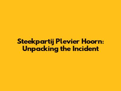 Steekpartij Plevier Hoorn: Unpacking the Incident