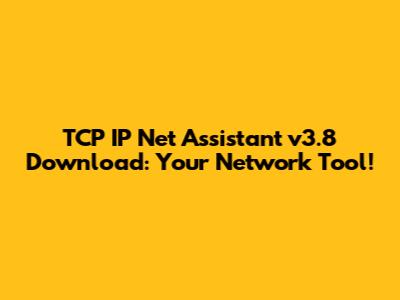 TCP IP Net Assistant v3.8 Download: Your Network Tool!