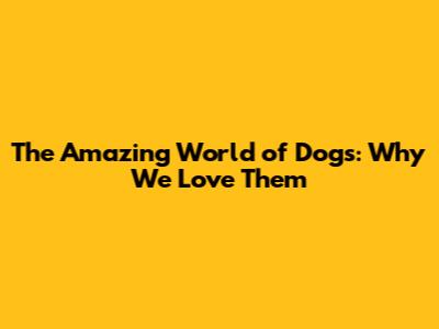 The Amazing World of Dogs: Why We Love Them