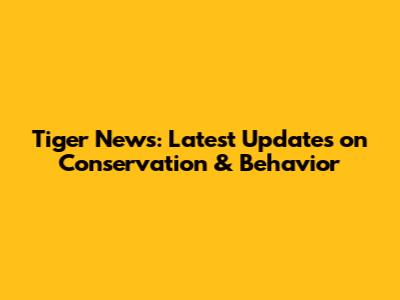 Tiger News: Latest Updates on Conservation & Behavior