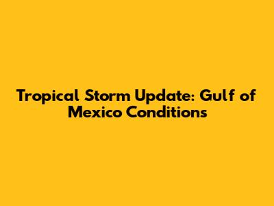 Tropical Storm Update: Gulf of Mexico Conditions